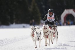 Lenzerheide 2013